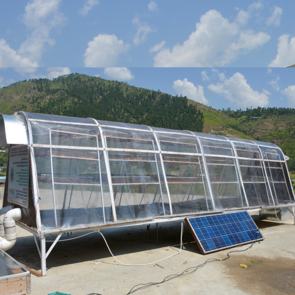 Solar Dryer